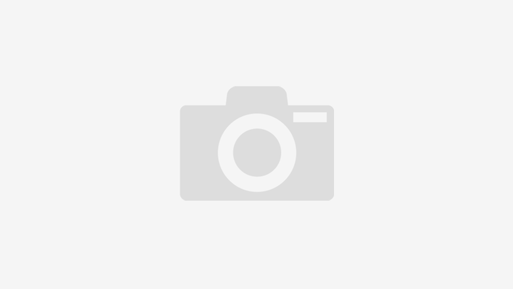 মণিরামপুরে শালিসী সভায় মুখোশধারী সন্ত্রাসীদের হামলা: ১ রাউন্ড গুলি বর্ষণ
